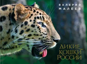 Валерий Малеев - Дикие кошки России. Иллюстрированный авторский фотоальбом Валерий Малеев - Дикие кошки России. Иллюстрированный авторский фотоальбом обложка книги