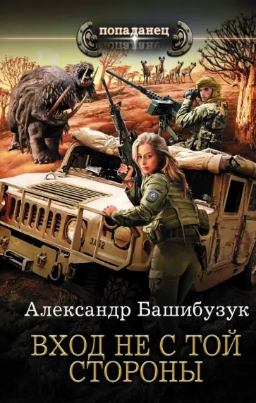 Александр Башибузук - Вход не с той стороны обложка книги