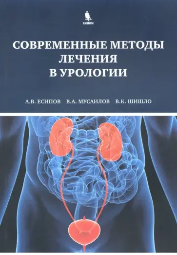 Есипов, Шишло - Современные методы лечения в урологии обложка книги