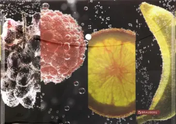 Папка-конверт с кнопкой "Fresh zone", А4 (228034) обложка книги