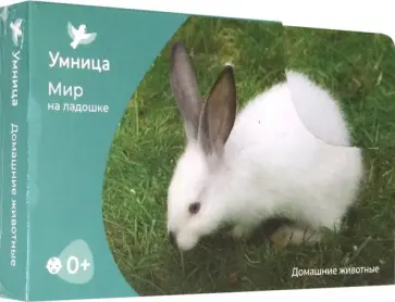 Мир на ладошке-3. Домашние животные Мир на ладошке-3. Домашние животные обложка книги