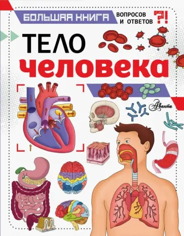 Джон Фарндон - Тело человека Джон Фарндон - Тело человека обложка книги