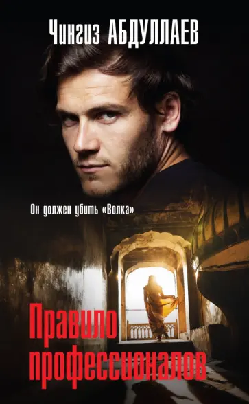 Чингиз Абдуллаев - Правило профессионалов обложка книги