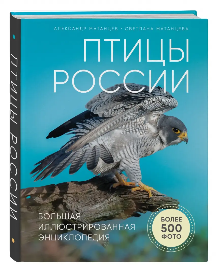 Хозяйственные товары купить оптом с доставкой по России, Оптбаза №1 Шарташская