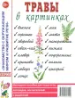 Профессии в картинках. Наглядное пособие для педагогов, логопедов, воспитателей и родителей