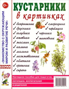 Знакомство с окружающим миром и развитие речи