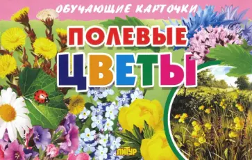 Карточки. Полевые цветы обложка книги