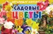 Миниатюра 2