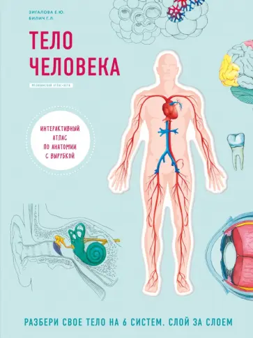 Габриэль Билич - Тело человека. Интерактивный атлас по анатомии с вырубкой. Разбери свое тело на 6 систем Габриэль Билич - Тело человека. Интерактивный атлас по анатомии с вырубкой. Разбери свое тело на 6 систем обложка книги