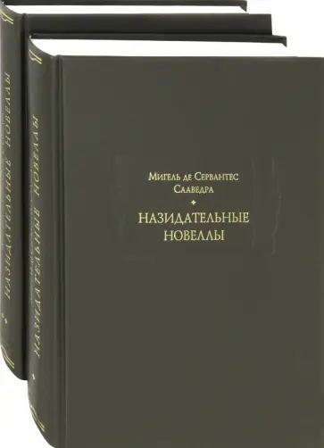 Сервантес Мигель де Сааведра - Назидательные новеллы. В 2-х книгах Сервантес Мигель де Сааведра - Назидательные новеллы. В 2-х книгах обложка книги