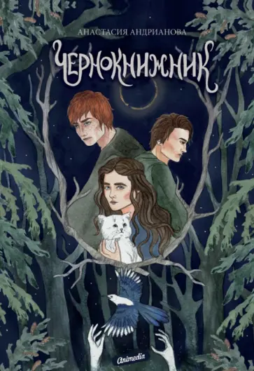 Анастасия Андрианова - Чернокнижник обложка книги