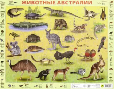 Детский пазл на подложке. Животные Австралии обложка книги