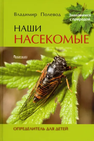 Владимир Полевод - Наши насекомые. Определитель для детей Владимир Полевод - Наши насекомые. Определитель для детей обложка книги