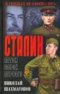 Шахмагонов Николай Федорович