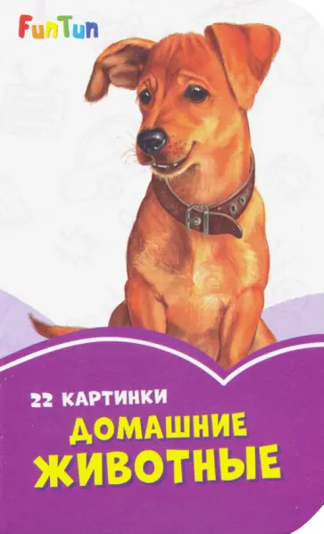 Домашние животные Домашние животные обложка книги