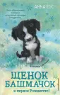 Снежные истории о доброте и чудесах