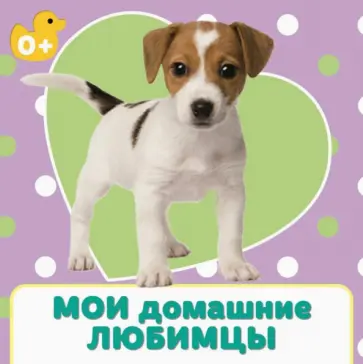 Мои домашние любимцы обложка книги