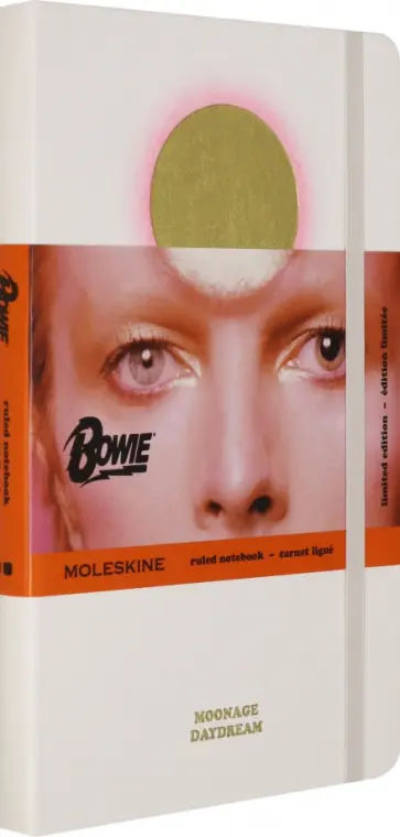 Блокнот 96 листов, 13*21 см "DAVID BOWIE" белый (LEDBQP060A) обложка книги