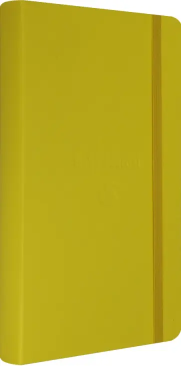 Блокнот 200 листов, 13*21 см "PASSION BABY" желтый (PASBABY) обложка книги