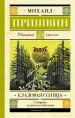Миниатюра 1