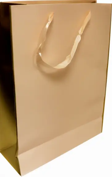Пакет подарочный "Бежевый" (30х40х12 см) (BG10190) обложка книги