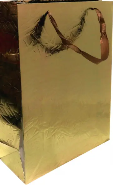 Пакет подарочный "Металлик" (30х40х12 см) (BG9516) обложка книги