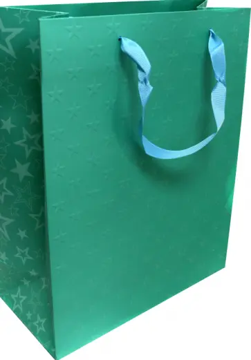 Пакет подарочный "Зеленый" (26х32х12 см) (BG9503) обложка книги