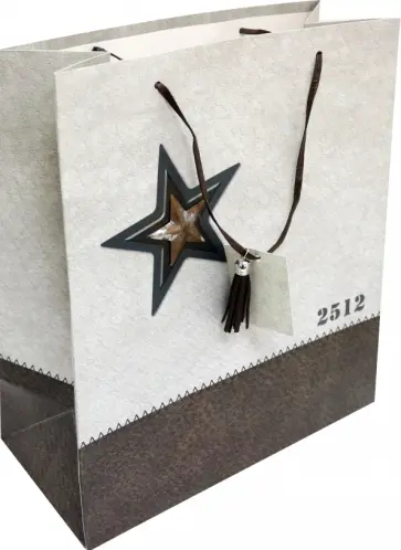 Пакет подарочный, ламинированный (26,7х33х13,7см) Звезда (BG10136) обложка книги