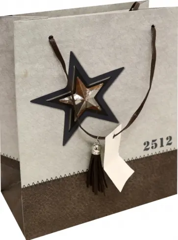Пакет подарочный, ламинированный (18х23х10см) Звезда (BG10135) обложка книги