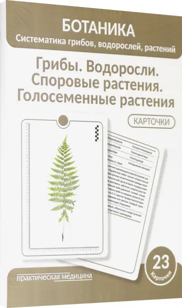 Луферов, Анцышкина - Ботаника. Систематика грибов, водорослей, растений. Грибы. Водоросли. Споровые растения. 23 карточки Луферов, Анцышкина - Ботаника. Систематика грибов, водорослей, растений. Грибы. Водоросли. Споровые растения. 23 карточки обложка книги