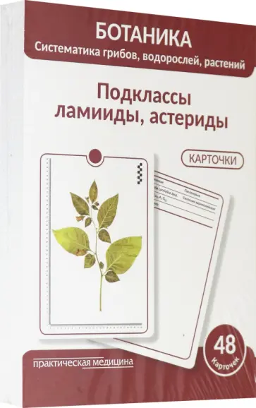 Луферов, Анцышкина - Ботаника. Систематика грибов, водорослей, растений. Подклассы ламииды, астериды. 48 карточек Луферов, Анцышкина - Ботаника. Систематика грибов, водорослей, растений. Подклассы ламииды, астериды. 48 карточек обложка книги