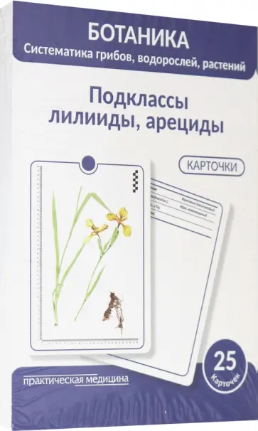 Луферов, Анцышкина - Ботаника. Систематика грибов, водорослей, растений. Подклассы лилииды, арециды. 25 карточек Луферов, Анцышкина - Ботаника. Систематика грибов, водорослей, растений. Подклассы лилииды, арециды. 25 карточек обложка книги