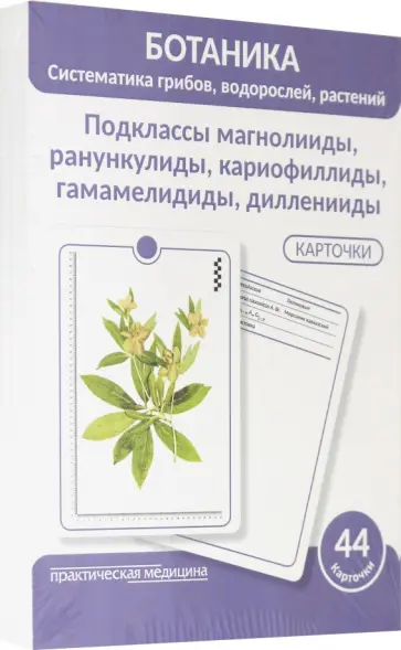 Луферов, Анцышкина - Ботаника. Систематика грибов, водорослей, растений. Подклассы магнолииды, ранункулиды. 44 карточки Луферов, Анцышкина - Ботаника. Систематика грибов, водорослей, растений. Подклассы магнолииды, ранункулиды. 44 карточки обложка книги