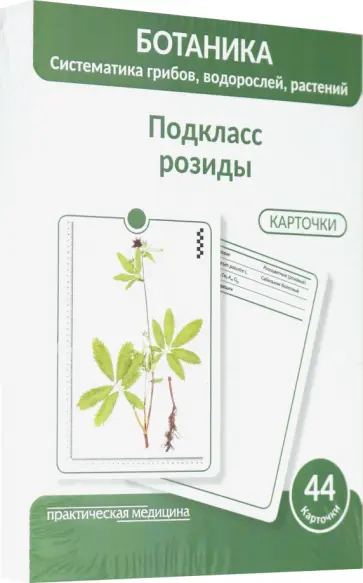 Луферов, Анцышкина - Ботаника. Систематика грибов, водорослей, растений. Подкласс розиды. 44 карточки Луферов, Анцышкина - Ботаника. Систематика грибов, водорослей, растений. Подкласс розиды. 44 карточки обложка книги