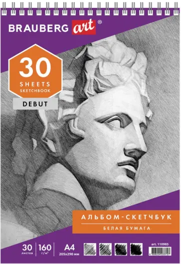 Скетчбук "DEBUT" (А4, 30 листов, 160г/м2, пружина) (110985) обложка книги