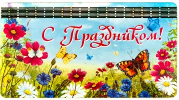 Денежница 3-слойная "С Праздником! Бабочки" обложка книги