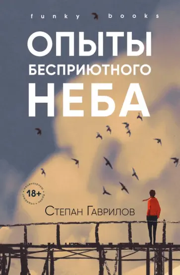 Степан Гаврилов - Опыты бесприютного неба обложка книги