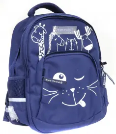 Рюкзак с эргономичной спинкой