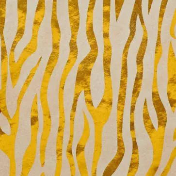 Бумага крафт Зебра (76684) обложка книги