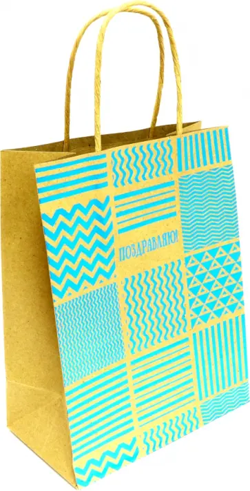 Пакет из крафт-бумаги (17,8х22,9х9,8 см) Голубая графика (79254) обложка книги