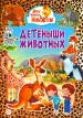 Миниатюра 1