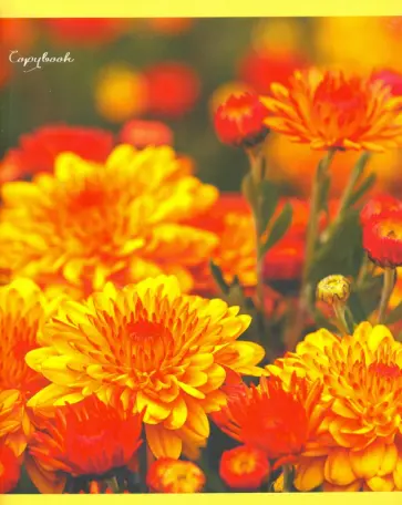 Тетрадь общая "Прекрасные цветы" (96 листов, А5, клетка, в ассортименте) (ТК966599) обложка книги