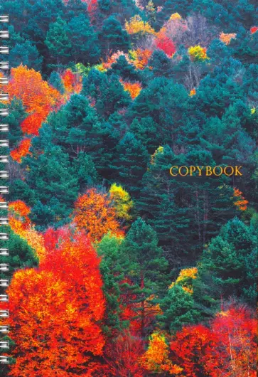 Тетрадь "Краски леса" (100 листов, А5, клетка, спираль) (ТС51004494) обложка книги