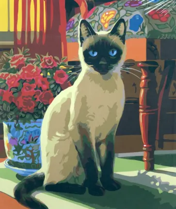 Картина по номерам "Сиамская кошка", 40х50 см (M-10888) обложка книги