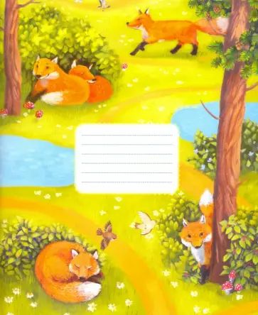 Тетрадь общая №57 (48 листов, А5, клетка) (11474) обложка книги