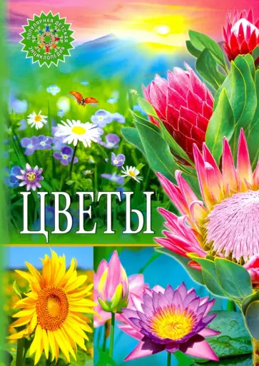Цветы Цветы обложка книги