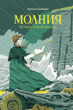 Антея Симмонс - Молния. История о Мэри Эннинг обложка книги