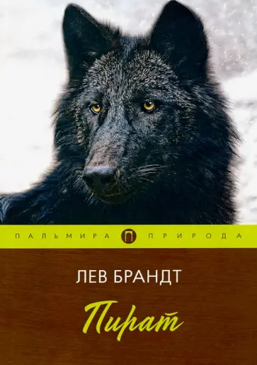 Лев Брандт - Пират: повести и рассказы обложка книги