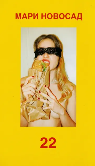 Мари Новосад - 22 обложка книги