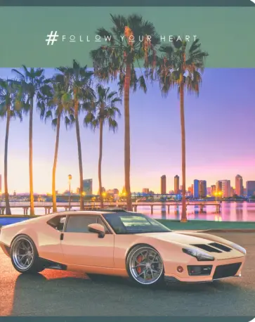 Тетрадь общая "Следуй за сердцем" (96 листов, А5, клетка, в ассортименте) (Т5ск96_лм 7613) обложка книги